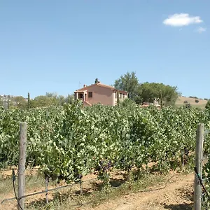 Pian Dei Pini Montiano (Tuscany)