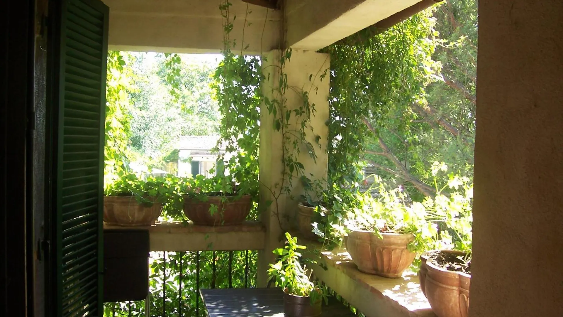 Agriturismo Il Paradiso Asciano